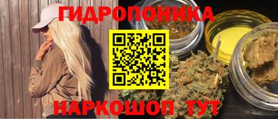 spice Тверь